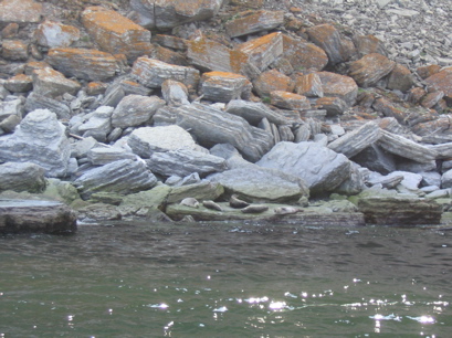 Still more seals, these are sunbathing on the rocks.