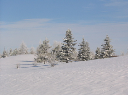 Winter at Valleyview, Alberta
