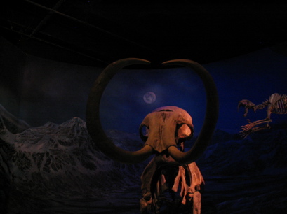 Mammoth & Moon