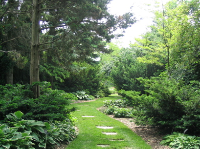 Path to hosta garden