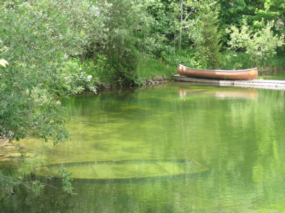Sunken Boat in a secret pond